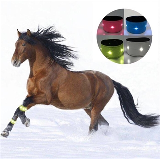 LED ben-bånd til heste - Hesteudstyr